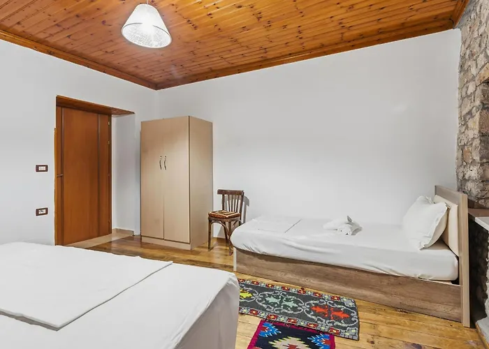 Dhimitri Apartment Berat